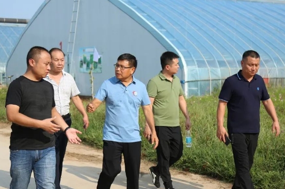 本分豫藝 助力農業(yè)發(fā)展提質(zhì)增效