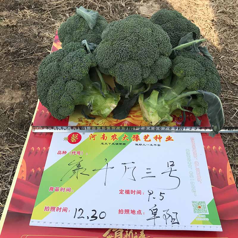 康千萬(wàn)三號