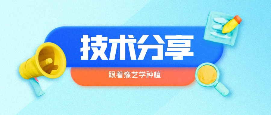 秋大棚辣椒、番茄育苗關(guān)鍵技術(shù)分享